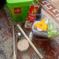 عروس هلندی جفت هستند با وسایل کامل|پرنده|تهران, صادقیه|دیوار