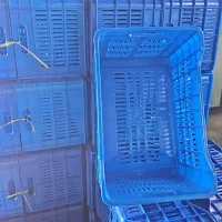 سبد جعبه گالن بشکه|عمده‌فروشی|شیراز, گل سرخ|دیوار