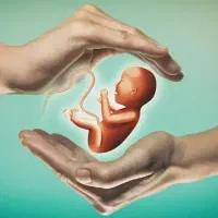 اهدا تخمک و رحم اجاره ای فوری فوری