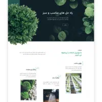 طراحی سایت در تنکابن|خدمات رایانه‌ای و موبایل|تنکابن, |دیوار