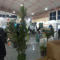 استخدام حسابدار شرکت بازرگانی بیرجند