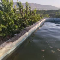 زمین کشاورزی باغی نزدیک پل زمان خان