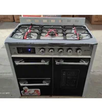 اجاق گاز طرح فر نو مدل فرانس|اجاق گاز و لوازم برقی پخت‌وپز|تهران, امین حضور|دیوار