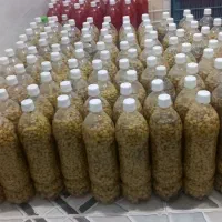 خشکبار حسین