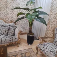 گلدان فایبرگلاس|گل و گیاه طبیعی|گرگان, |دیوار