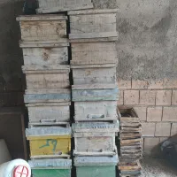 کندو خالی،طبق،دبه،جاخوراکی