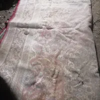 نیاز به شستن دارن|فرش|شاهرود, |دیوار