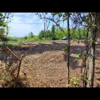 فروش زمین داخل طرح|فروش زمین و ملک کلنگی|رودبنه, |دیوار