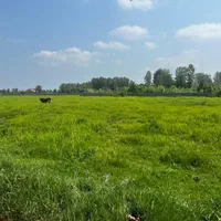 زمین زراعی  10هزارمتری/خشکبیجار/منطقه ازاد|فروش زمین و ملک کلنگی|خشکبیجار, |دیوار