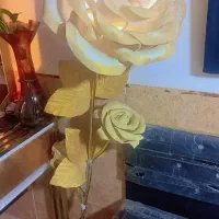 چراغ اواژر