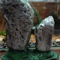 وسایل آکواریوم دکور