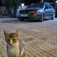 سیم کشی و ای سی یو ریو