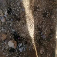 فروش زمین بر بلوار شهید استوار ترکان