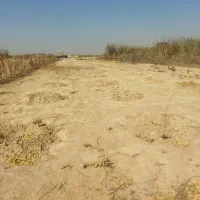 زمین زراعی|فروش دفتر صنعتی، کشاورزی، تجاری|رباطکریم, رباطکریم|دیوار