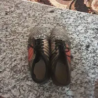 کفش چمن