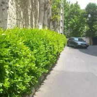استخدام کارگر و باغبان|استخدام معماری، عمران و ساختمانی|تهران, نجات اللهی|دیوار