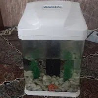 آکواریوم aqua