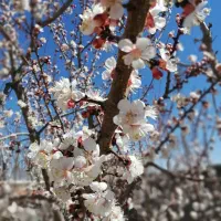 فیلمبرداری