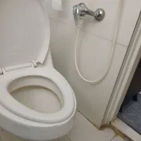 توالت فرنگی (دستشویی فرنگی) ایساتیس