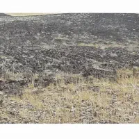 زمین کشاورزی