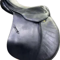 زین اشتون المان