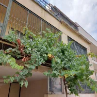 زعفرانیه کلنگی مسکونی جنوبی|فروش زمین و ملک کلنگی|تهران, زعفرانیه|دیوار