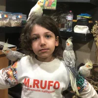 عروس هلندی دستی سخنگو