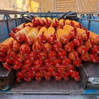 کپسول آتشنشانی/اتش نشانی 6کیلویی co2شارژ مارک