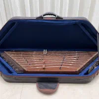 سنتور سید حمید حسینی (ونگه) همراه با کیف