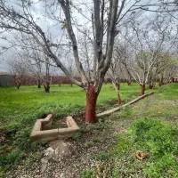 ویلا باغ ۲۲۰۰ متری ۲ عدد کنتور برق،۲ عدد کنتور گاز|فروش خانه و ویلا|دماوند, دماوند|دیوار