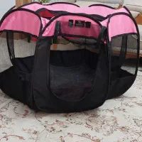 پارک محدود کننده سگ در انزلی