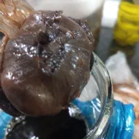 سیر ترشی 8 ساله