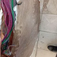 طبل پوستی هشت گوشه|درام و پرکاشن|زرند, |دیوار
