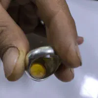 قیمت مقطوع|جواهرات|پیشوا, |دیوار