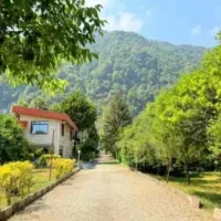 برند-منطقه-امیر-اباد-با-سند-تک-برگ