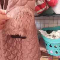 پالتو نو ب علت سایز نبودن|لباس|کوهدشت, |دیوار