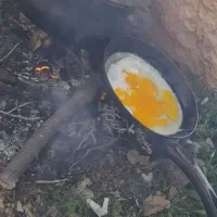 یه خانم باسلیقه برای صبحانه خوری نیار دارم