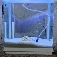 اکواریوم به همراه ماهی