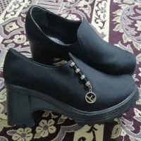 کفش|کیف، کفش، کمربند|گلبهار, شهر جدید گلبهار|دیوار