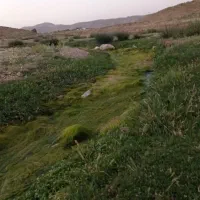 فروش-و-معاوضه-زمین-گلستان-شمالی-پیام-نور