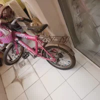 دوچرخه سالم