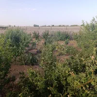 زمین باغی دارای مجوز ویلاسازی(مناسب سرمایه گذاری)