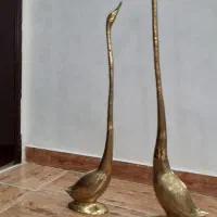 دوعددقوعاشق