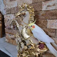 مسکن مهر صادقیه ۸۵ متر۲ خواب فول بازسازی سنددار