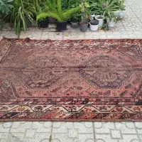 سه تخته فرش ،  دست بافت با پشم و خیلی قدیمی هستند.|فرش|شیراز, آبیاری|دیوار