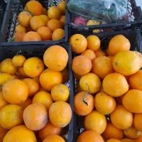 میوه فروشی برکت