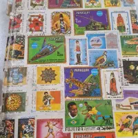 آلبوم تمر قدیمی