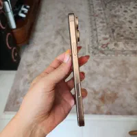 اپل iPhone 16 Pro Max با حافظهٔ ۲۵۶ گیگابایت|موبایل|سیرجان, |دیوار
