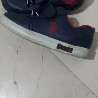 کفش کتونی برند پلو سایز ۲۴|کفش و لباس بچه|تهران, سازمان برنامه جنوبی|دیوار