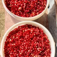 رب انار امسالی